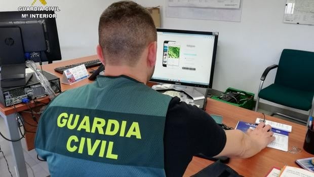 Madre e hijo investigados por acosar a dos mujeres de Lora del Río por internet