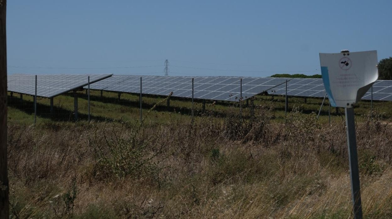 Planta fotovoltaica en el término municipal de Puerto Real.