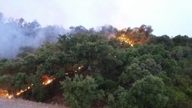 Cuatro incendios forestales afectan a diferentes puntos de la provincia de Sevilla