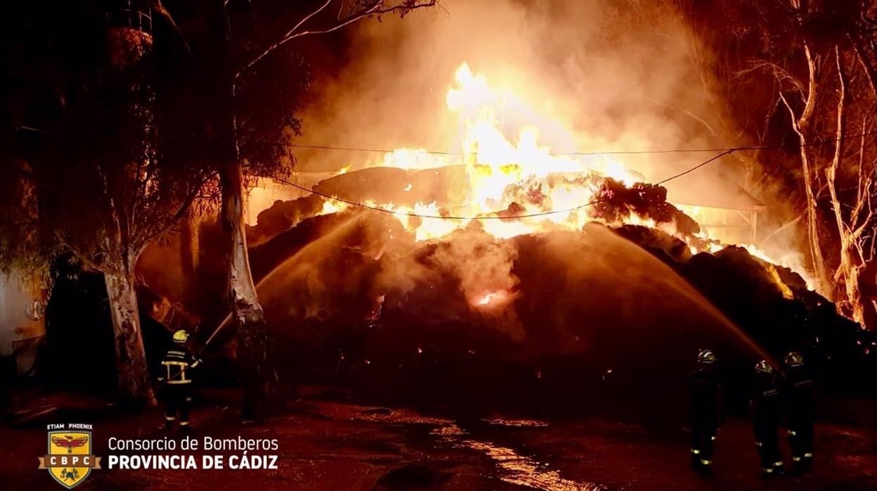 Incendio en la finca de la ganadería Núñez del Cuvillo en la zona de Los Naveros, en Vejer