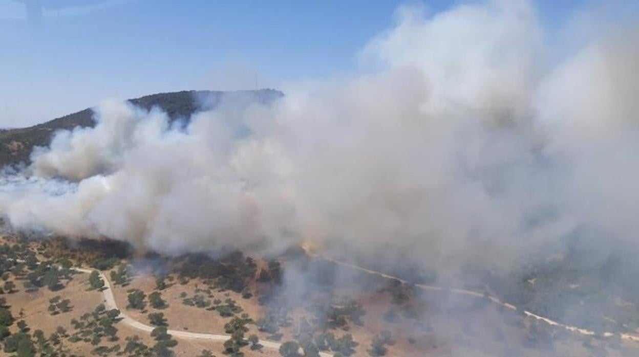 Declarado un incendio en Alcalá de los Gazules