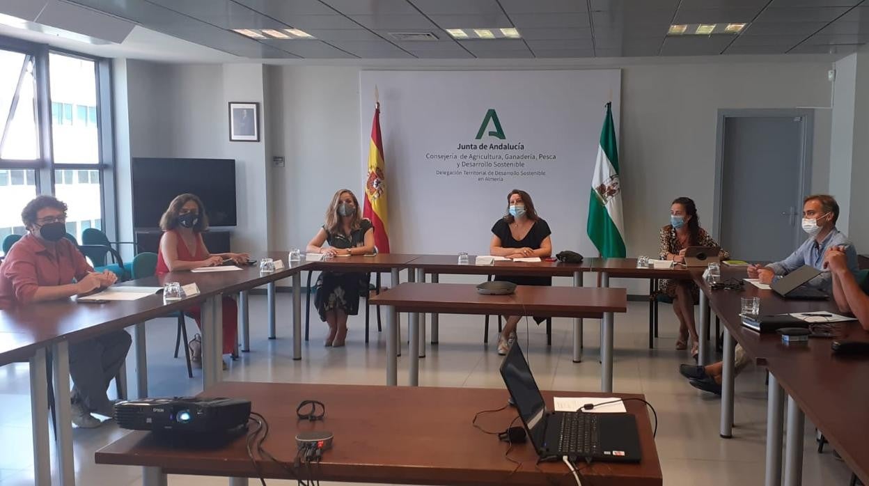 Infoca refuerza las tareas de vigilancia mediante vuelos preventivos sobre zonas forestales de Andalucía durante la ola de calor