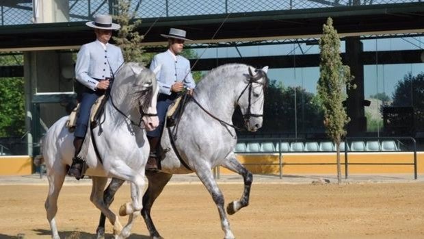 La yeguada Cartuja Hierro del Bocado ofrece visitas para difundir su patrimonio único como pura raza español