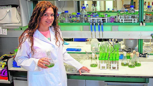 Una científica sevillana lidera un proyecto nacional de biofertilizantes que respetan el medio ambiente