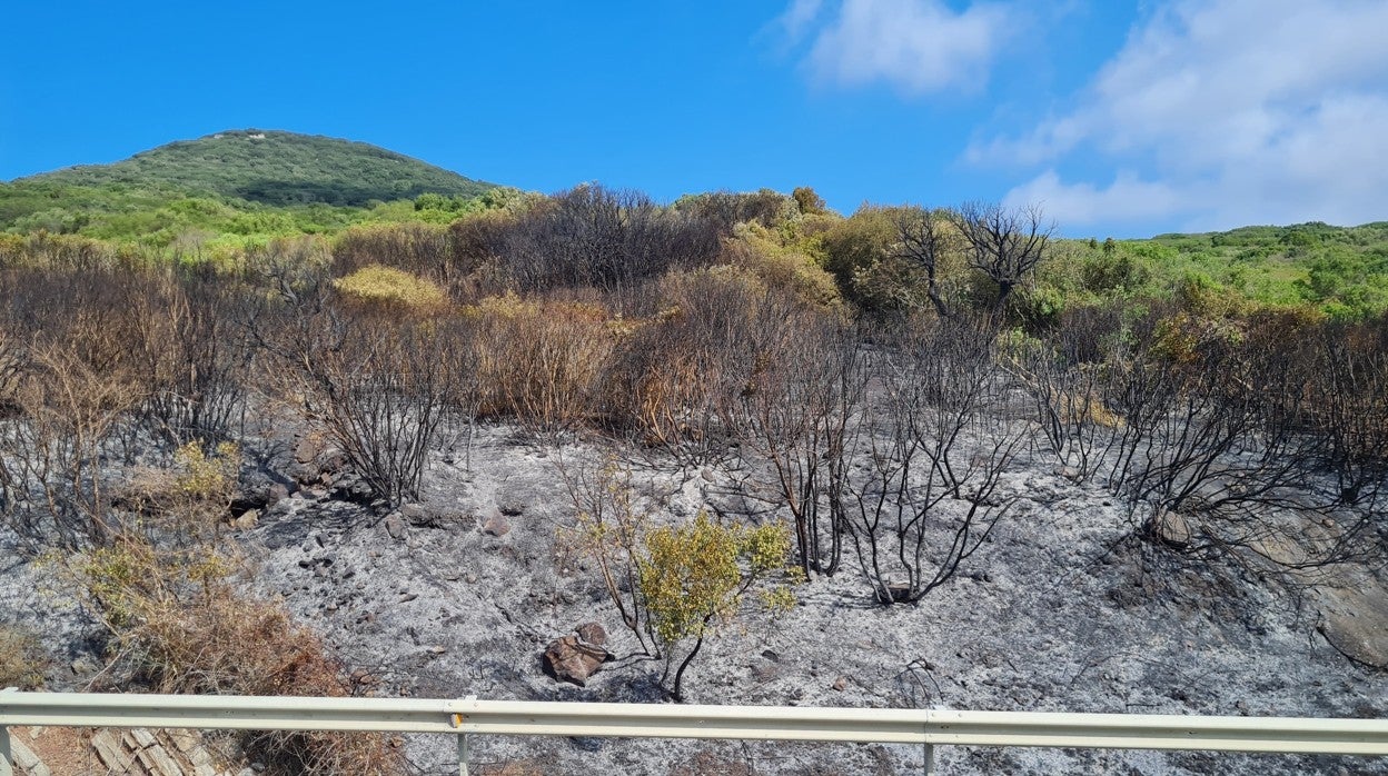 Zona de la N-340 donde comenzó a arder un vehículo y se originó el incendio