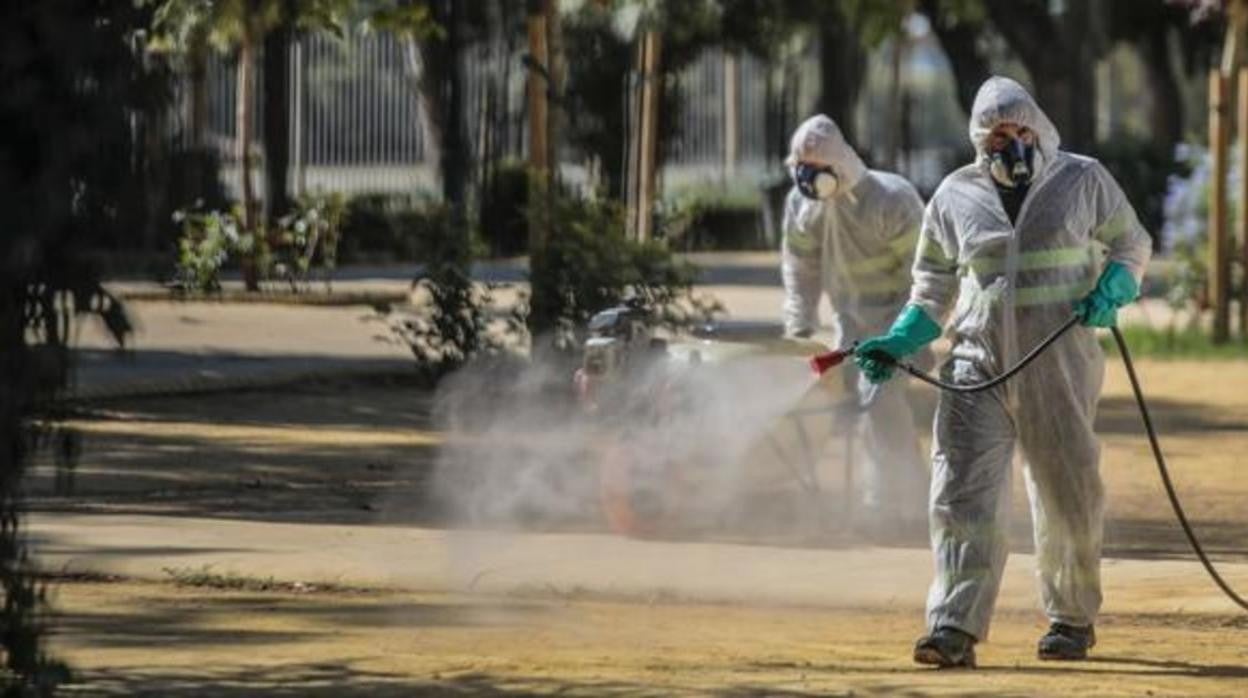 Dos operarios fumigan una zona verde de Coria del Río, en agosto de 2020