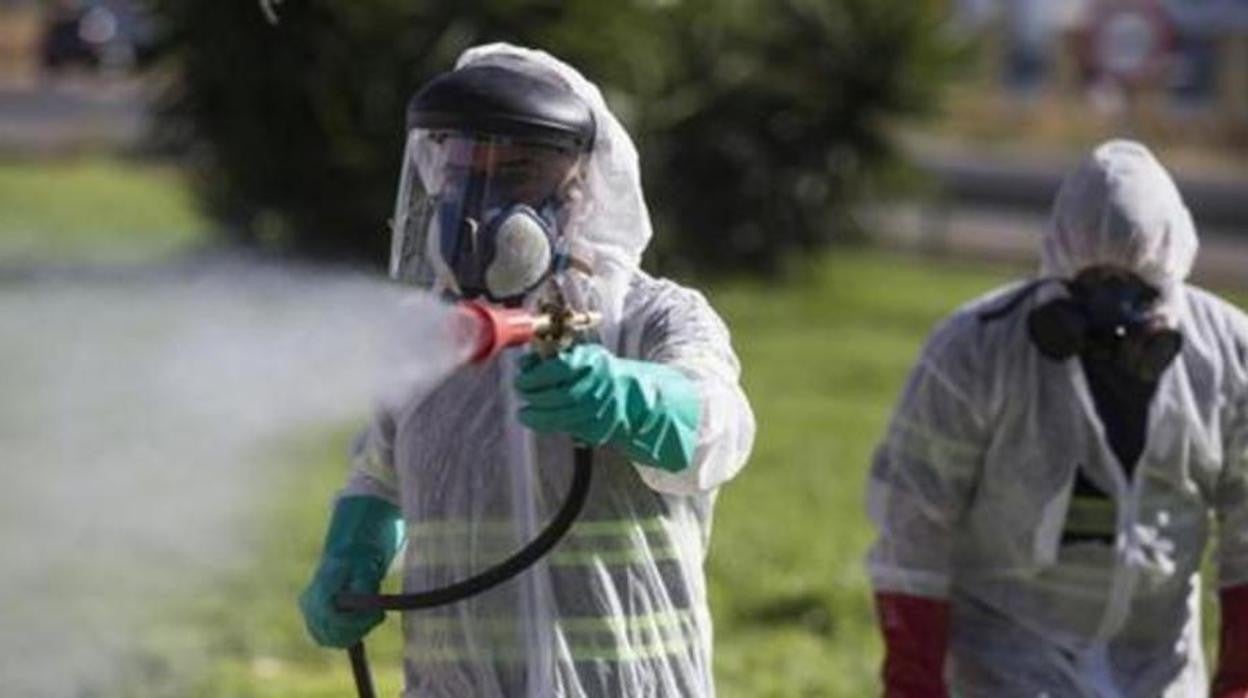 Dos operarios realizan tareas de fumigación contra el mosquito