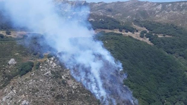 José Pacheco celebra el decreto de zonas afectadas por emergencias y señala la «rápida respuesta»