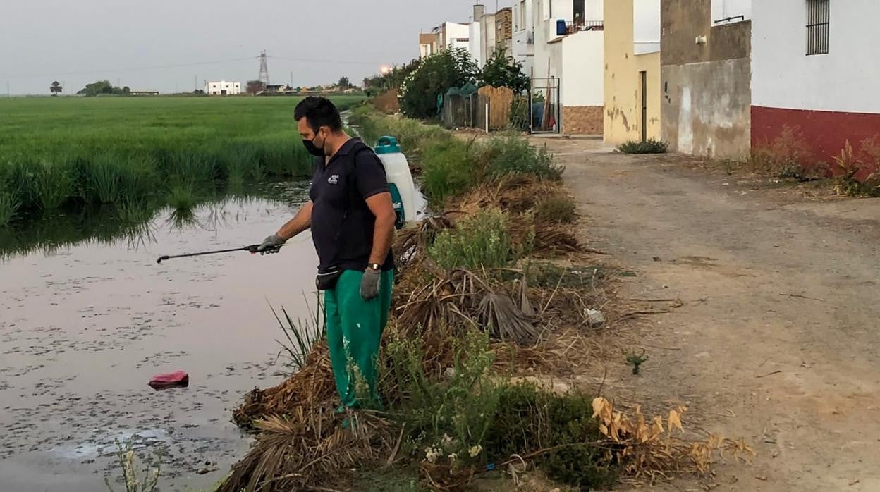 Un operario fumiga una zona de aguas estancadas en La Puebla del Río