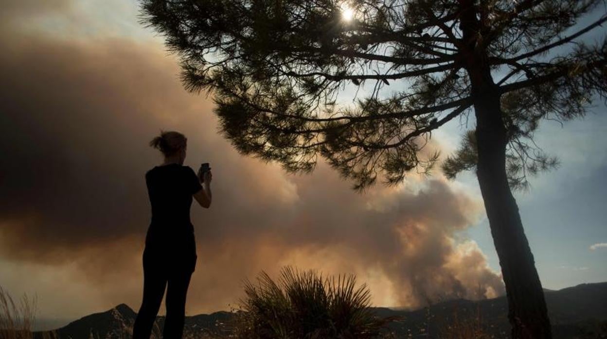 Bomberos de Cádiz se ofrecen para ayudar en el devastador incendio de Sierra Bermeja, en Málaga