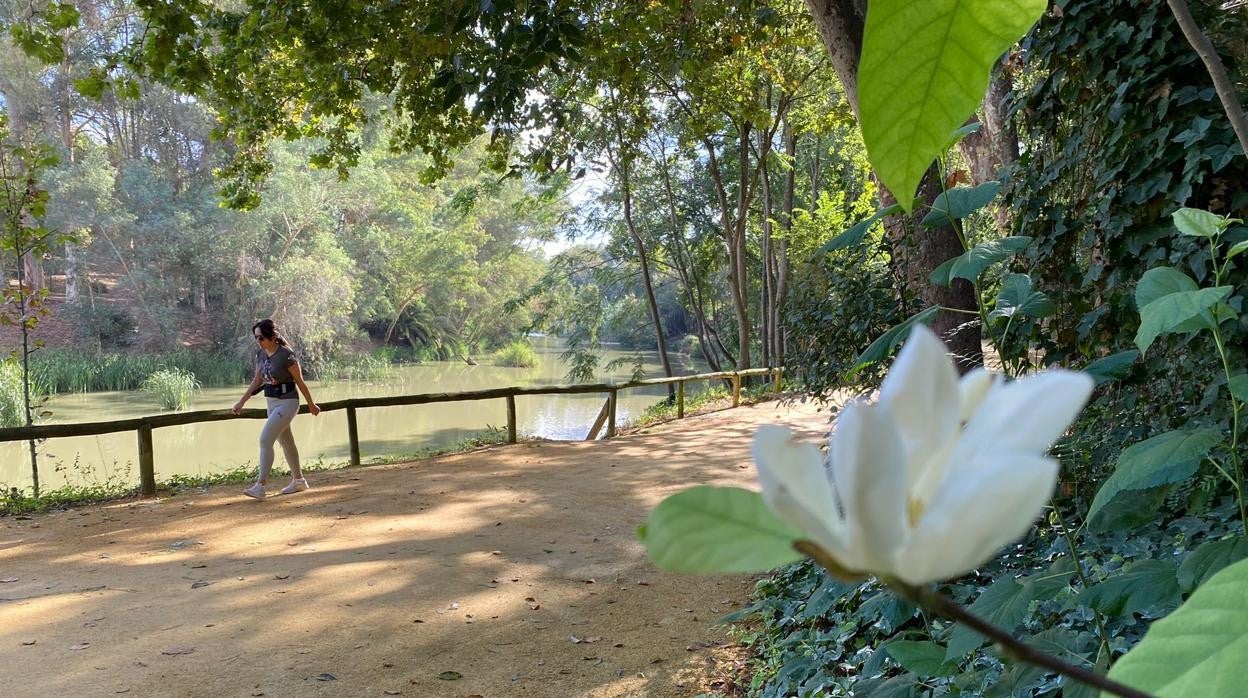 Una persona camina sobre uno de los parques de la ribera del Guadaíra