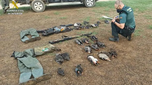 Tres investigados por cazar patos en un conocido paraje protegido de Los Palacios