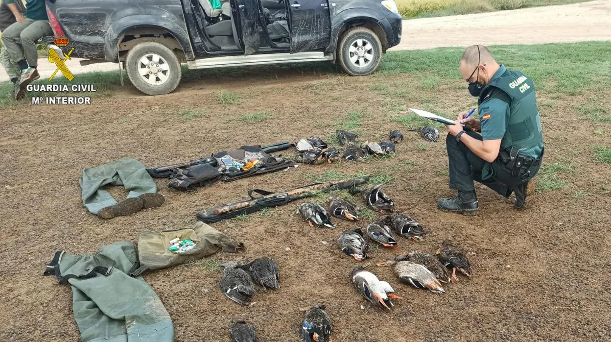 Un agente de la Guardia Civil con las armas y los animales abatidos que fueron intervenidos