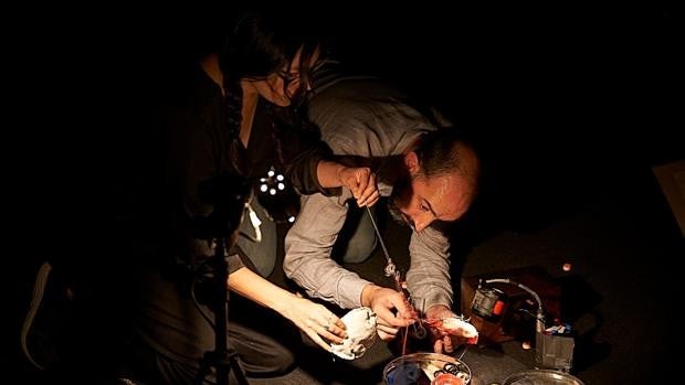 Al liquindoi, una lupa sobre Cádiz