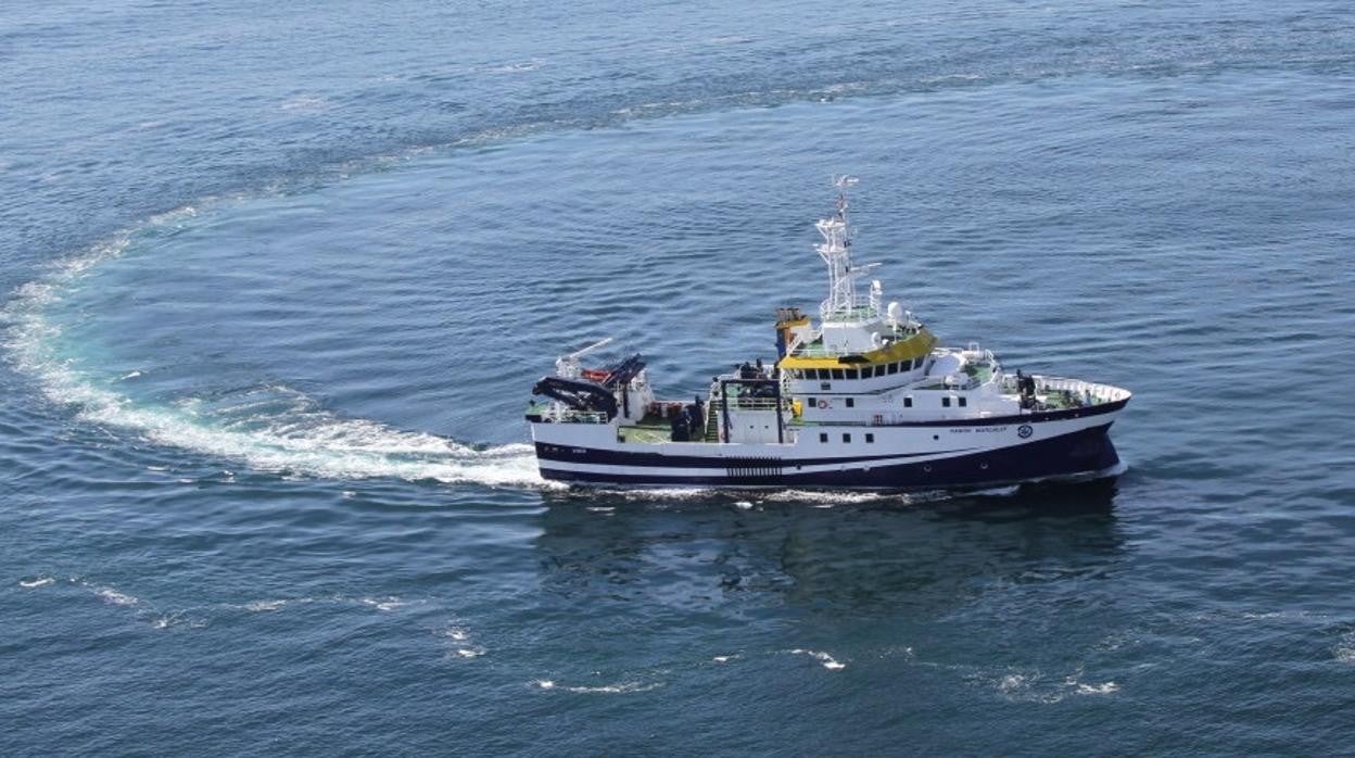 Estudian el reclutamiento del boquerón y la sardina en aguas del golfo de Cádiz