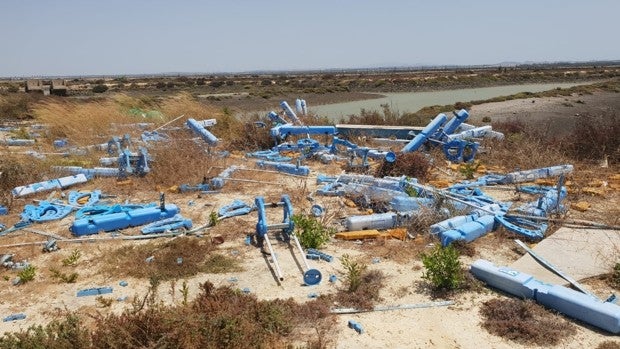 El 80% de los esteros de la Bahía de Cádiz se encuentran en desuso