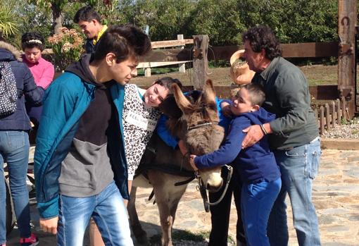 El contacto con los animales refuerza el autoestuma.