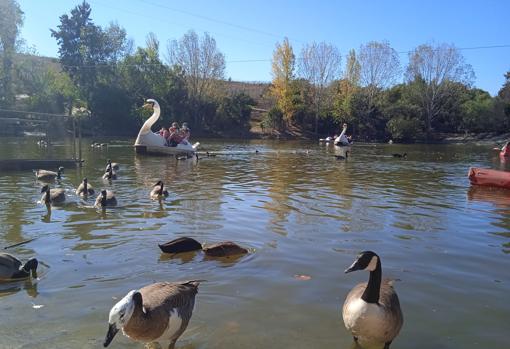 Planes divertidos con niños para disfrutar del otoño en Cádiz