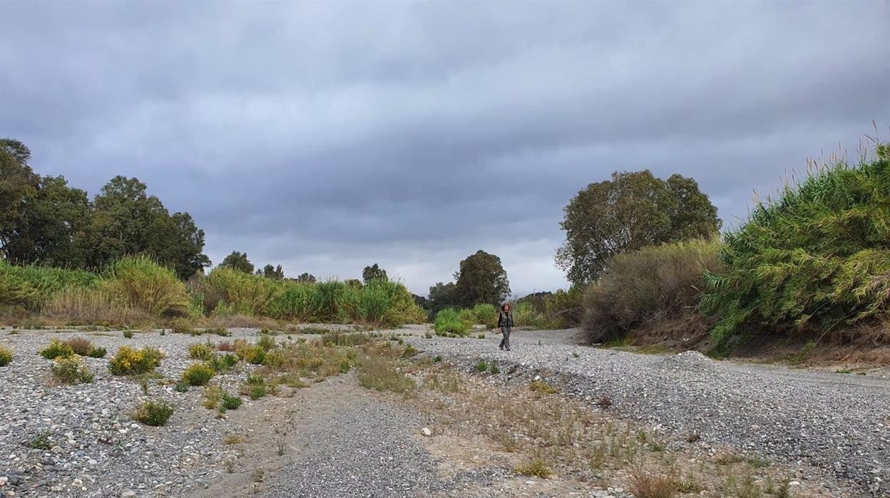 Imagen de la desembocadura del río Genal en el Guadiaro.