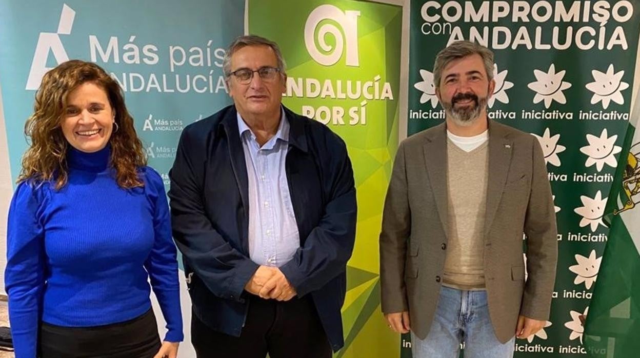 Más País, Andalucía por Sí e Iniciativa apoyan a trabajadores del metal y señalan ausencia del Gobierno