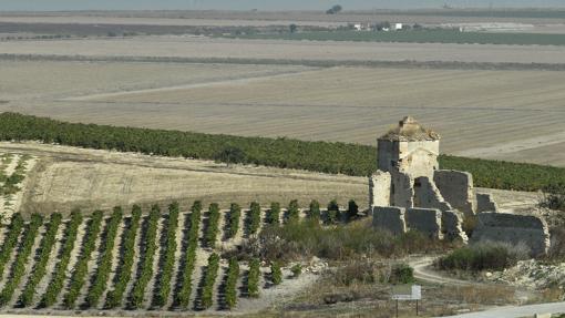 Doce planes para el puente de diciembre en la provincia de Cádiz