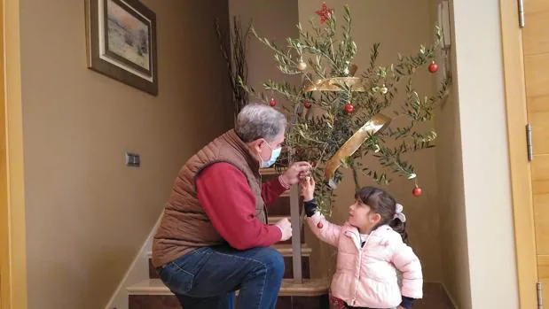 Dos agricultores de Arahal proponen sustituir por un olivo el árbol típico de la Navidad