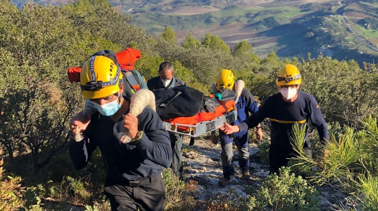 El suceso ha tenido lugar elmirador de Levante.