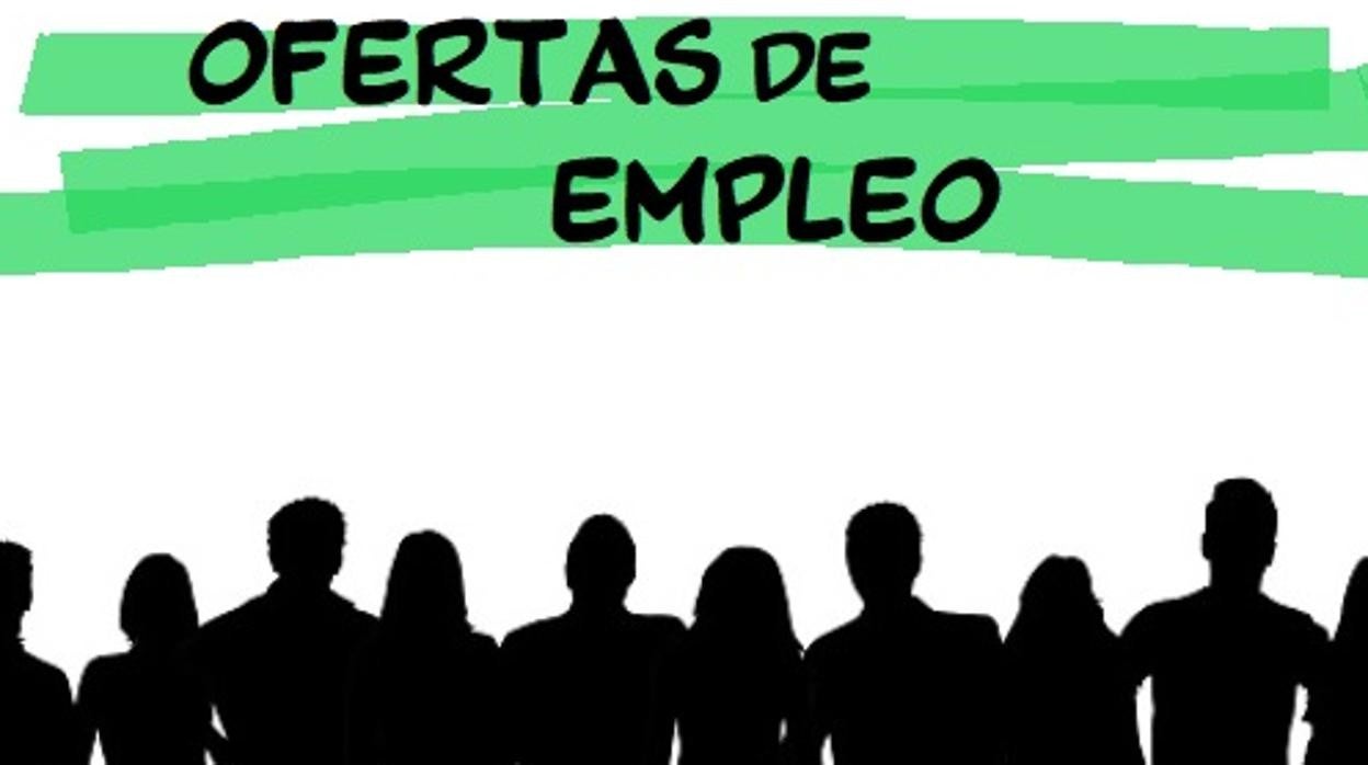 Se ofertan 33 plazas de orientadores laborales, docentes y técnicos de gestión para el Proyecto Dipuempleo-Formación