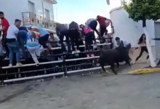 Muere un hombre tras ser embestido por un toro en el encierro de Puerto Serrano