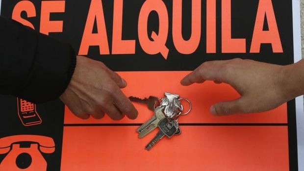 El PSOE sobre las ayudas al alquiler: «Permitirán que los jóvenes de Cádiz no tengan que marcharse»