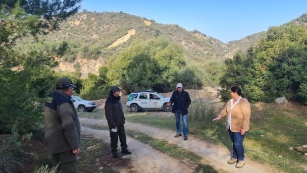 La Junta comienza los trabajos de mejora de la red forestal de la provincia de Sevilla por 1,5 millones