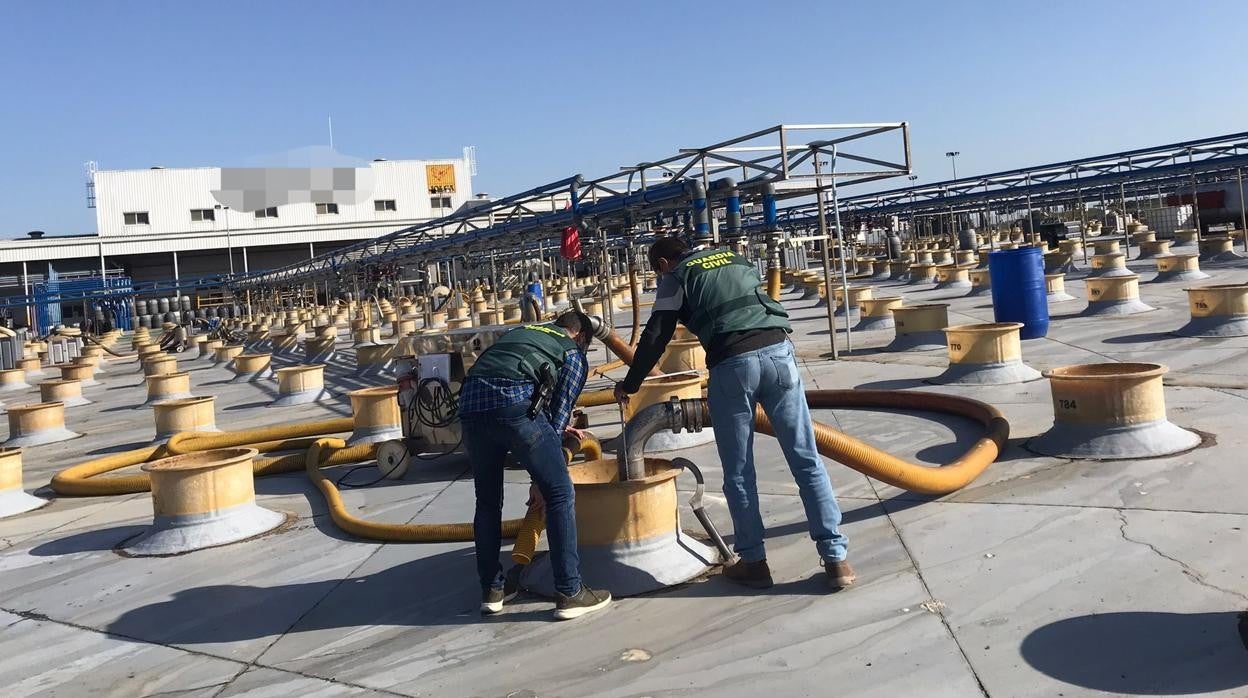 Los agentes revisan la planta de Huévar del Aljarafe