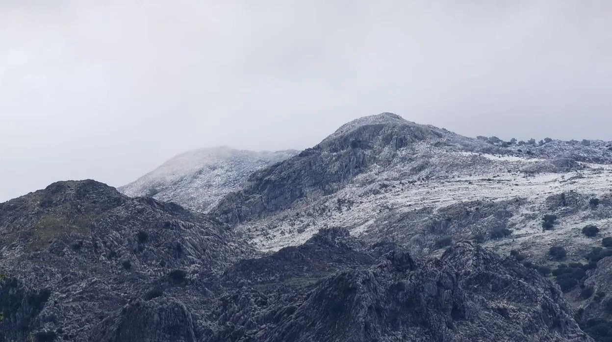 La nieve llega a la Sierra de Cádiz