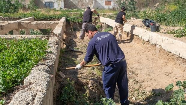 Últimos trabajos en la fosa norte del cementerio de San José en Cádiz