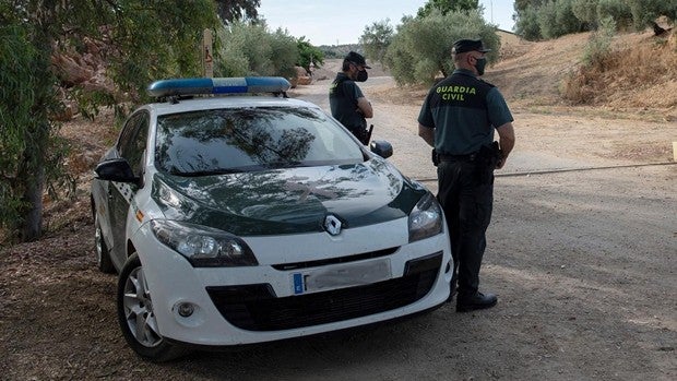 Fallece un trabajador tras caer sobre él una paca de paja en el municipio sevillano de Gerena