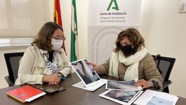 Denuncian al alcalde por dejación de funciones al no impedir una plaga de ratas y chinches en una barriada
