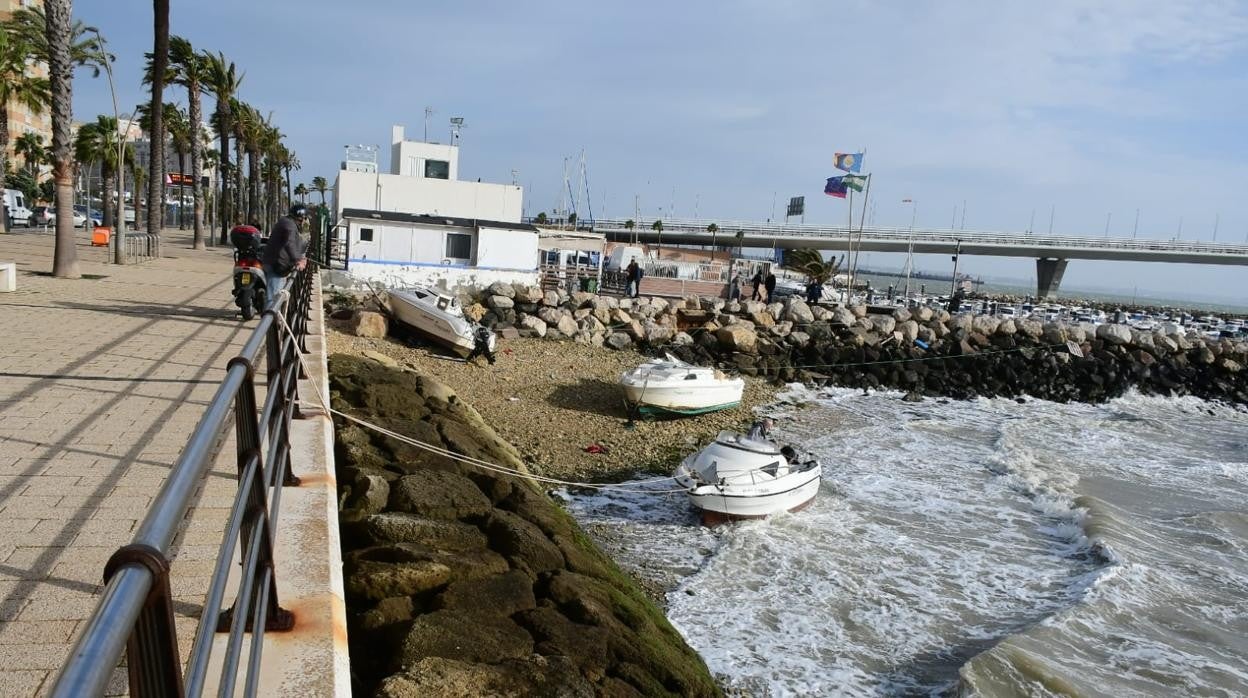 Los barcos que han llegado hasta el puerto de la Barriada de la Paz.