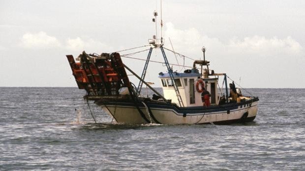 Ayudas de 720.000 euros a barcos afectados por paros de la pesca de la chirla en el Golfo de Cádiz