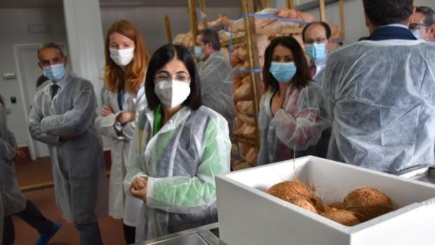 Colectivos antidroga del Campo de Gibraltar, indignados con la ministra de Sanidad