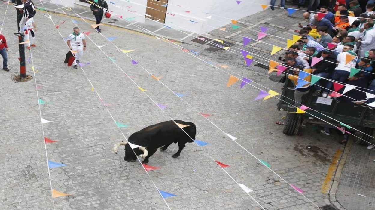 El Toro Embolao de Vejer en su celebración de 2019