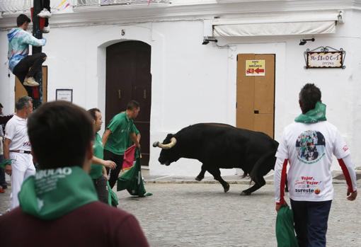 El Toro Embolao de Vejer vuelve este Domingo de Resurreción