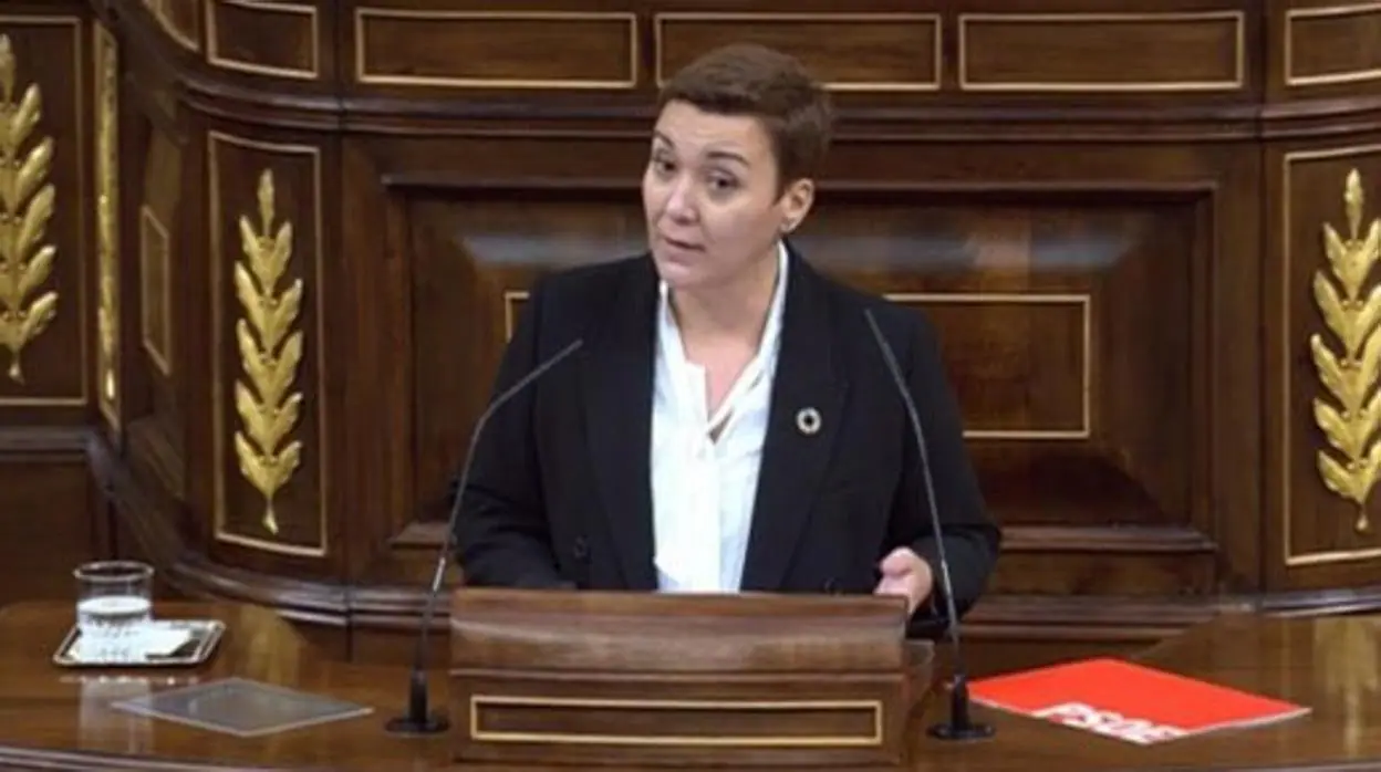 Gemma Araujo, una sesión del Congreso de los Diputados