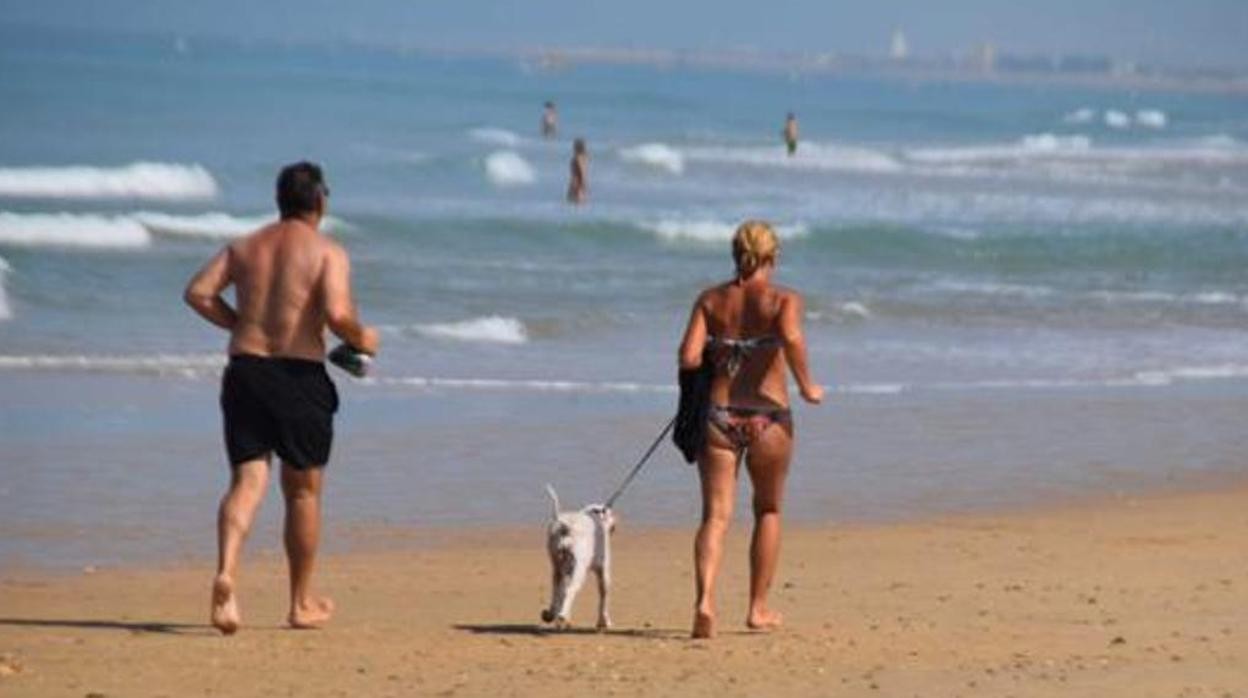 En estos momentos está prohibido pasear mascotas en la playa.