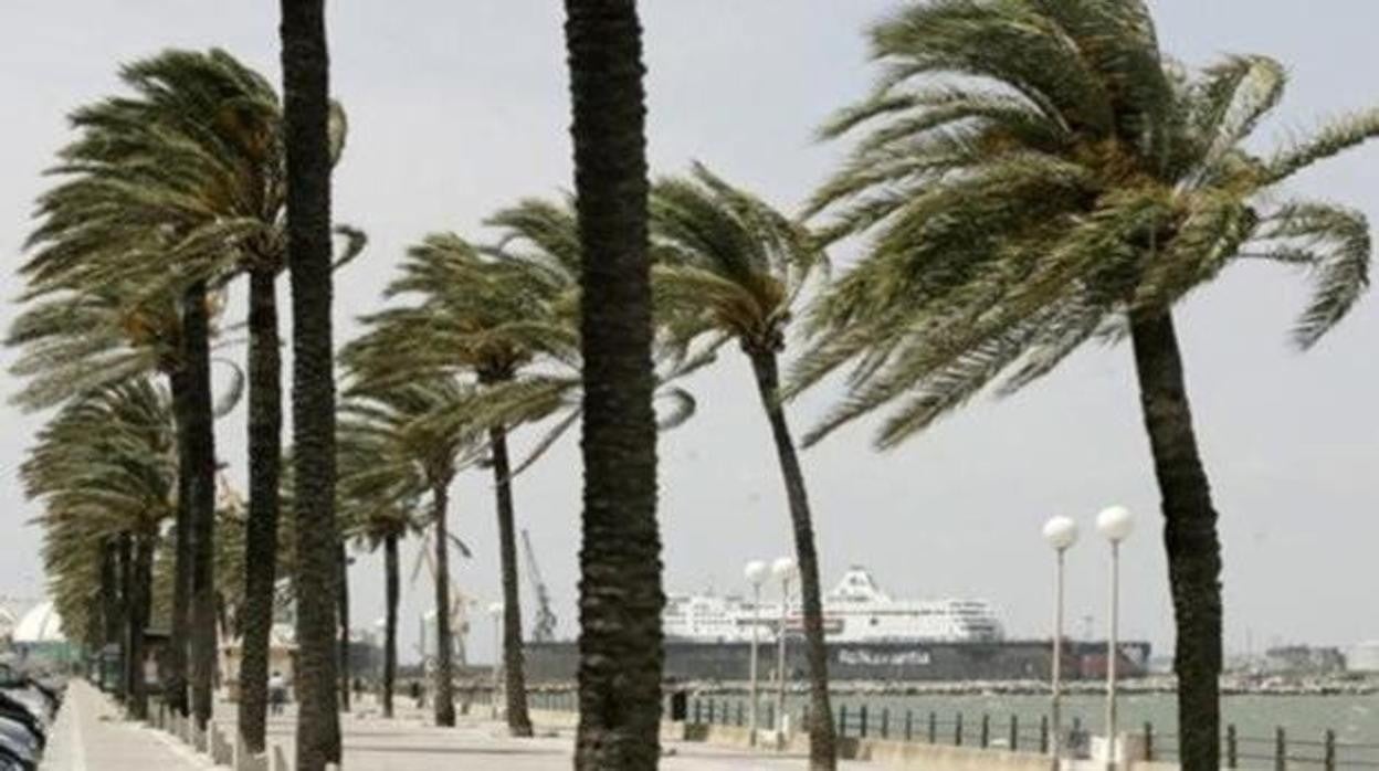 Las rachas de viento podrían causar hoy más incidencias