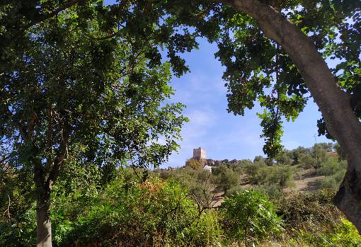 ¿Qué supone que Zahara se haya convertido en municipio turístico andaluz?