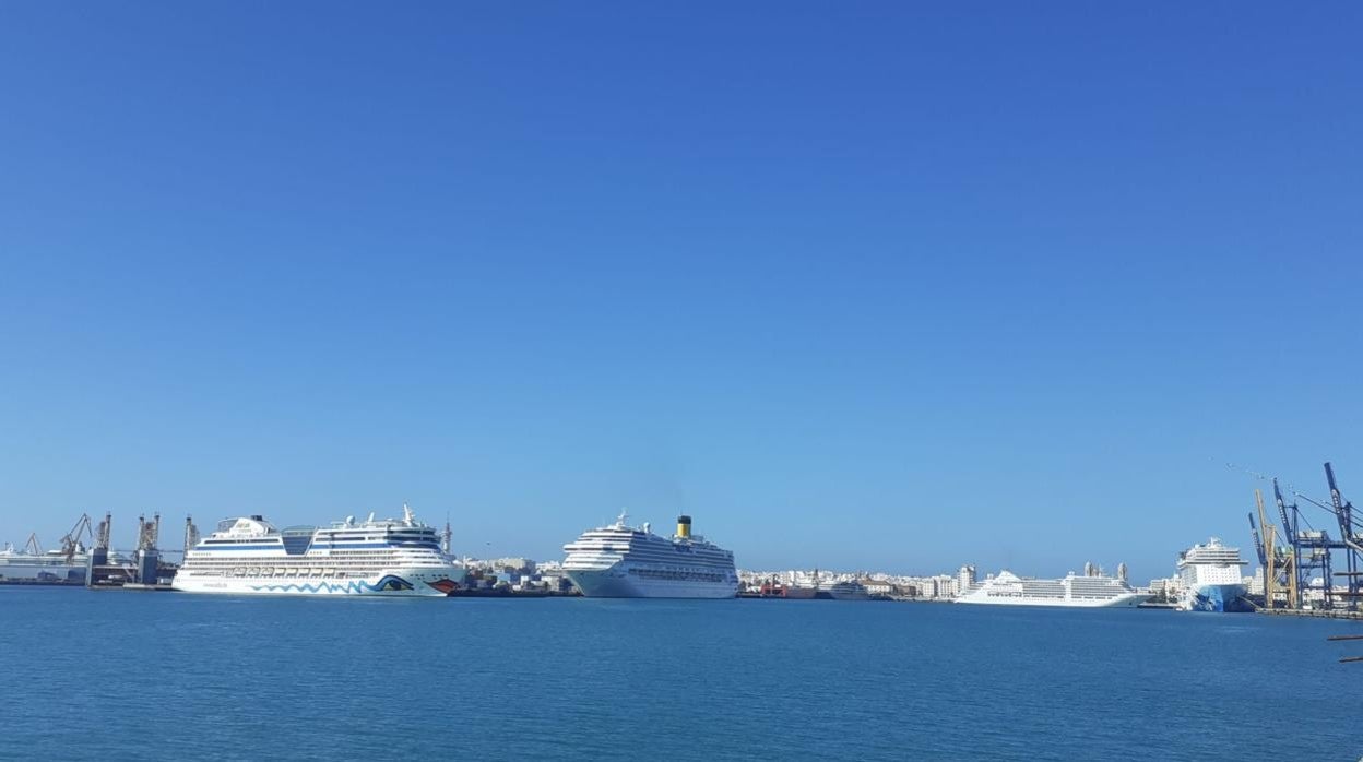 Cruceros en el Puerto de Cádiz esta semana