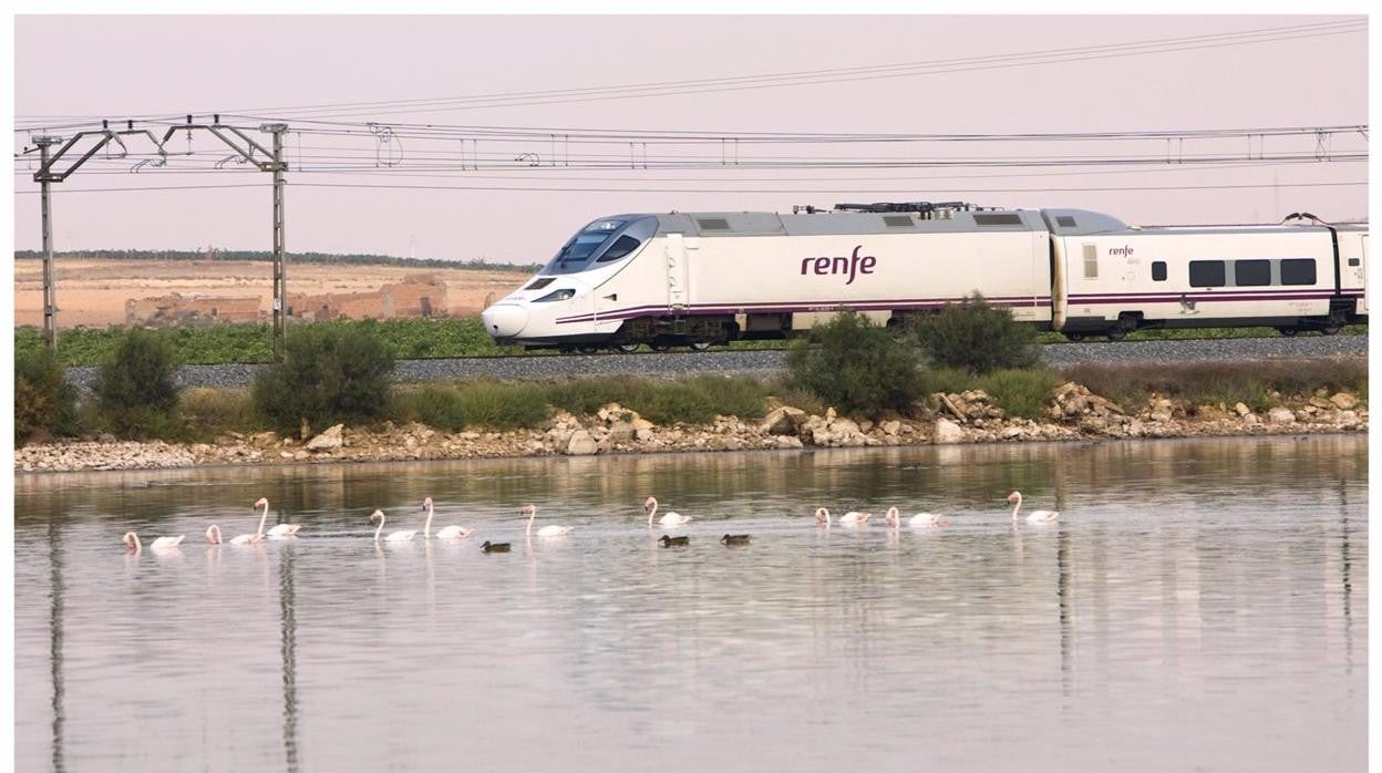 47.200 nuevas plazas este verano para los trenes entre Madrid y Cádiz