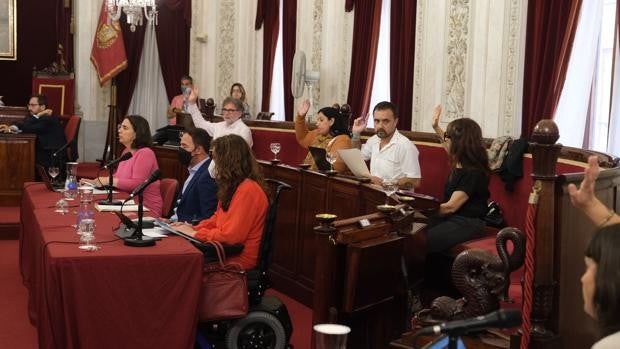 El malestar de media plantilla municipal sublevada llega al Pleno sin incidentes