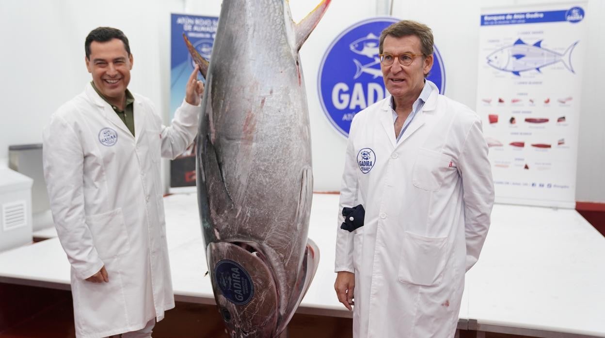 Juanma Moreno y Núñez Feijóo durante la visita.