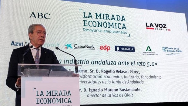 «Es positivo para la Bahía que la planta de Airbus Puerto Real compatibilice el uso público con el industrial»